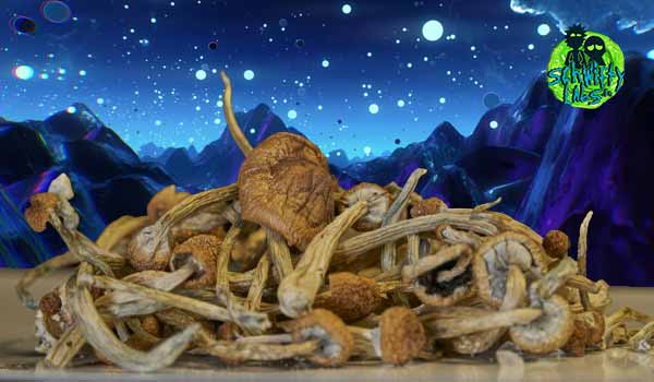 12 Best Things to Do On Shrooms