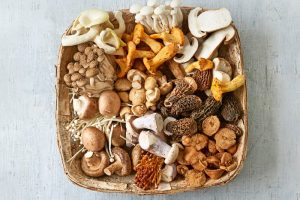 Traveling with Mushroom Supplements: What to Pack and What to Skip