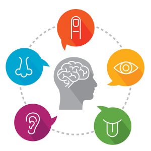 The Intersection of Psychedelics and REM Sleep: What’s the Impact?