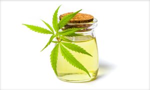 THC and the Default Mode Network: Are Cannabis Users Mentally More Flexible?