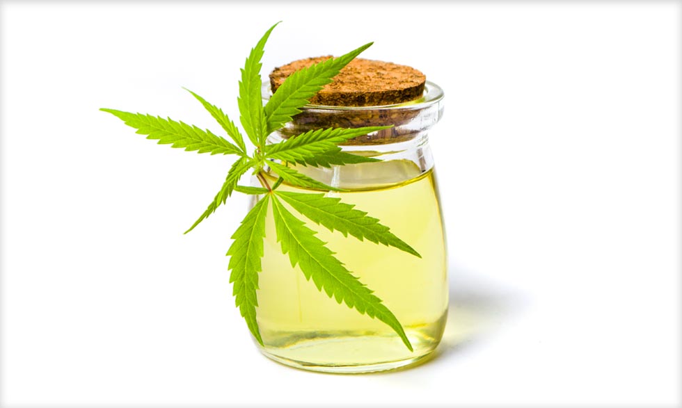 THC and the Default Mode Network: Are Cannabis Users Mentally More Flexible?