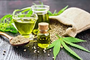 Indica vs. Sativa for Mental Clarity: Which Strain Supports Focus?