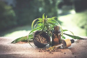 Cannabis and Neurotransmitters: How THC Interacts with Dopamine, GABA, and Serotonin