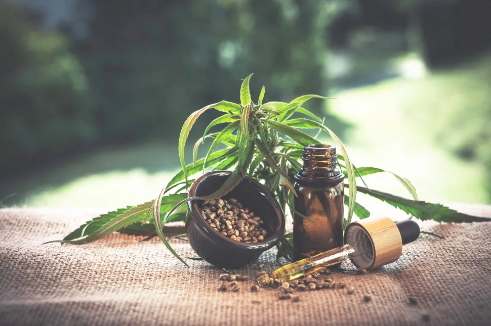 Cannabis and Neurotransmitters: How THC Interacts with Dopamine, GABA, and Serotonin